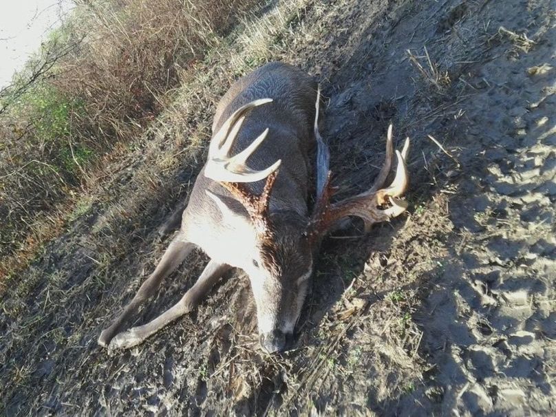 i phone 6-25-15 part 2 043 (1)