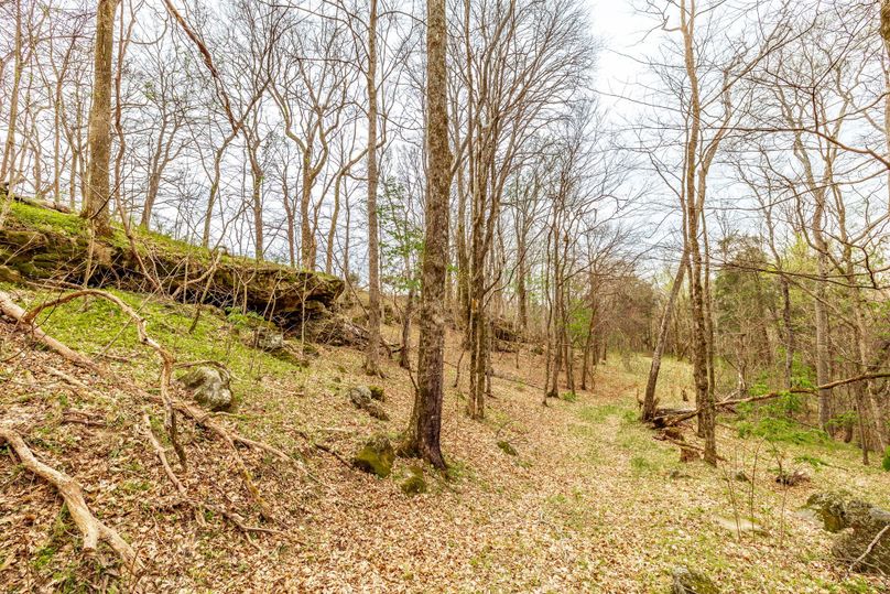 40-web-or-mls-Wolf Hill-18