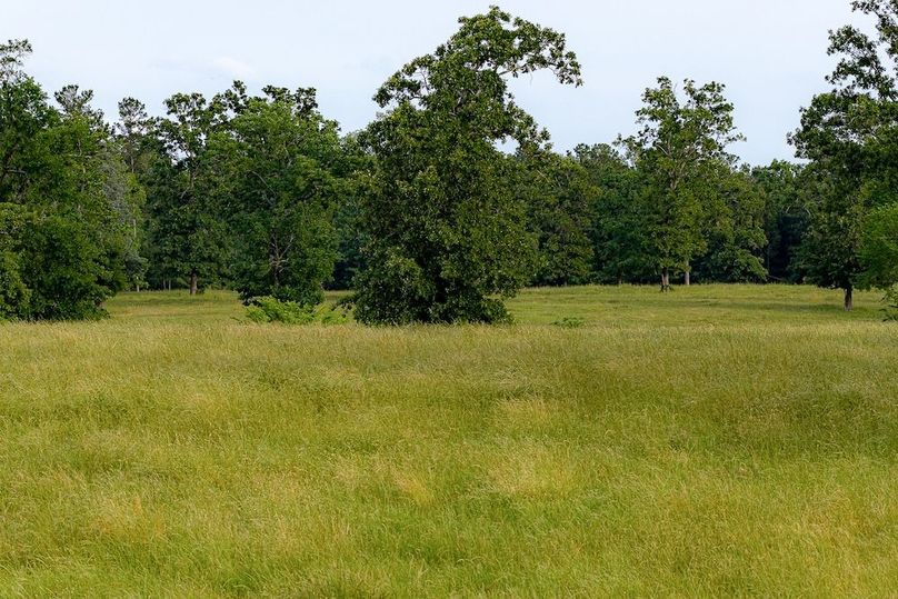 Holman Ranch-63
