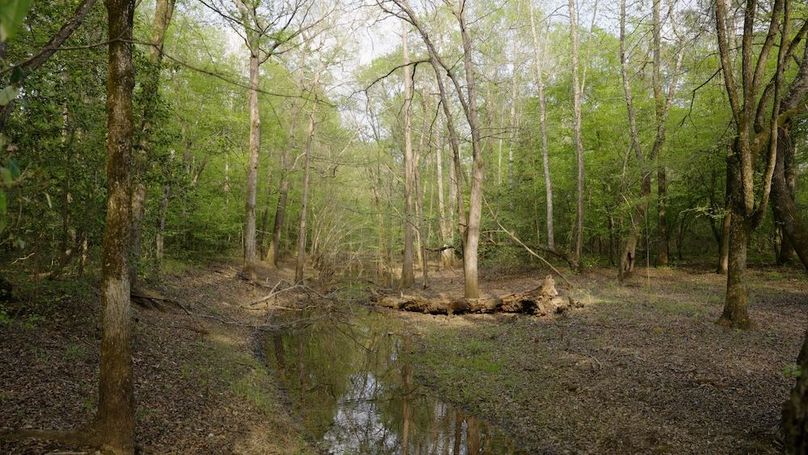 Marion TX 143 and 117 Featured_WEB.00_05_43_07.Still014