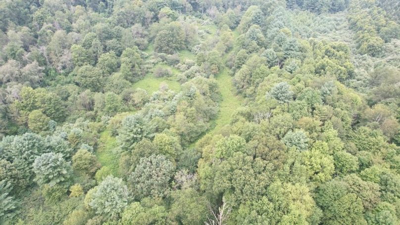 dji_fly_20250806_140724_583_1754530418694_photo