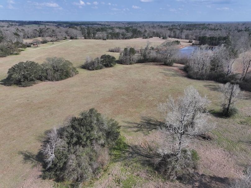 dji_fly_20260220_132310_0227_1771640791010_photo