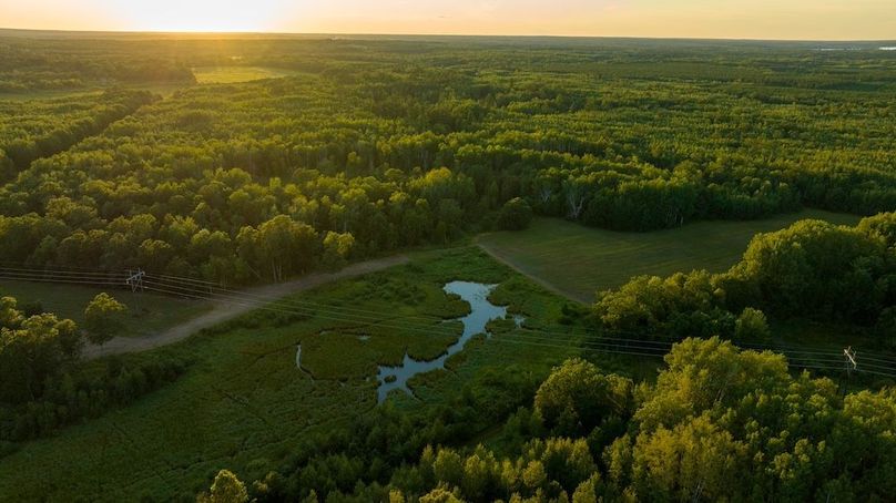 Cass MN 1095 Featured ProPhoto-97