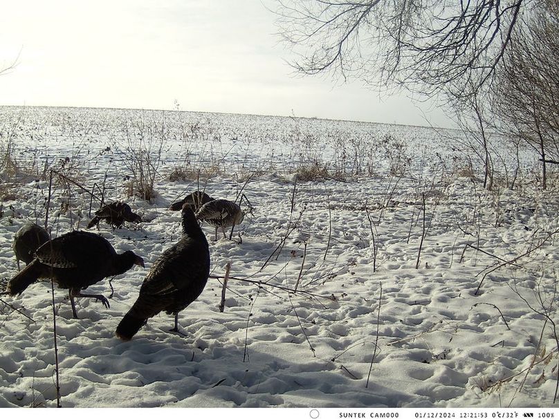 2024-1201-122154_000472