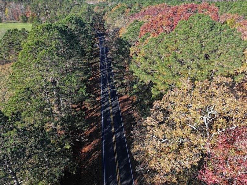 Copy of DJI_20241124090658_0220_D