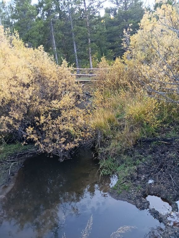 Resized_20250923_181836