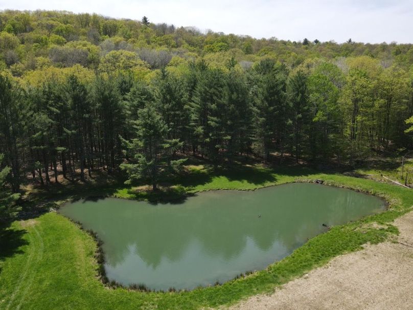 DJI_0323