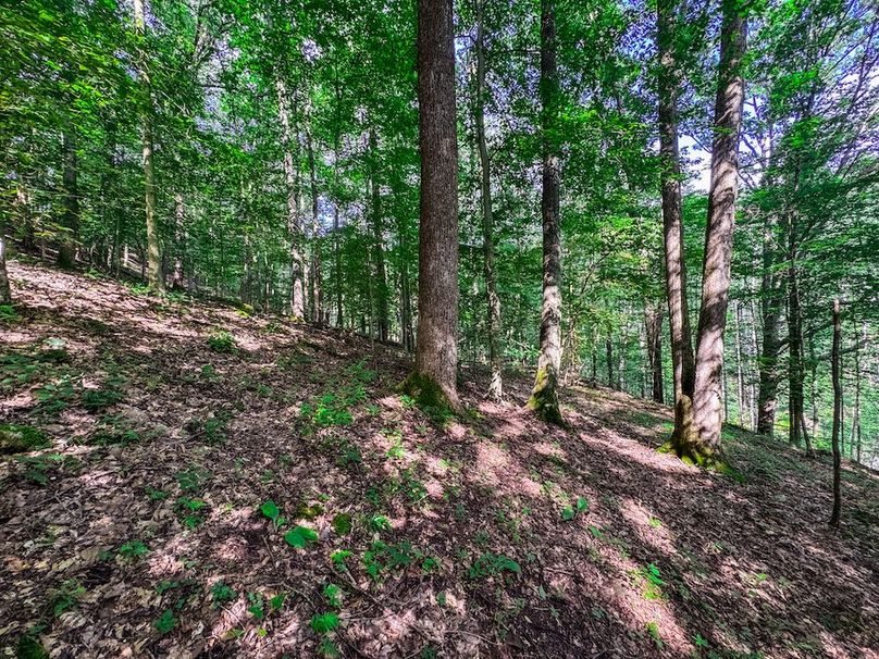 Lewis, WV 105 AC Miller-49