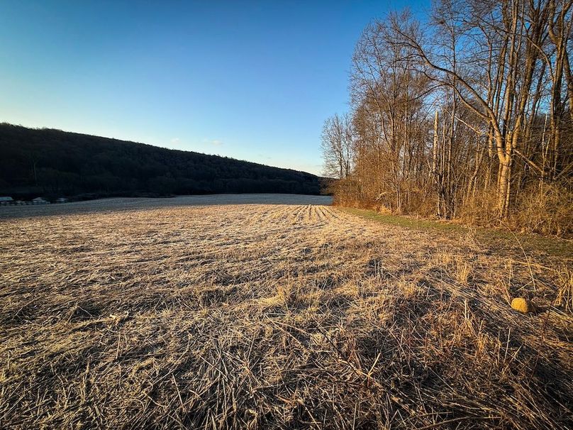 Cayuga 32 Stoyell Photos 47