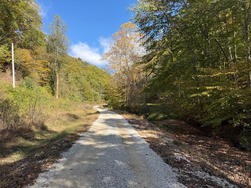 018 Mud Lick Road leading northeast through the property