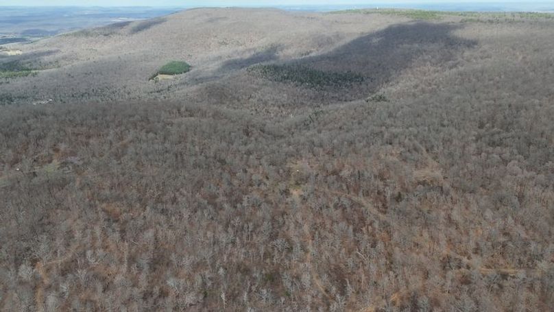 stone8020260307_0050