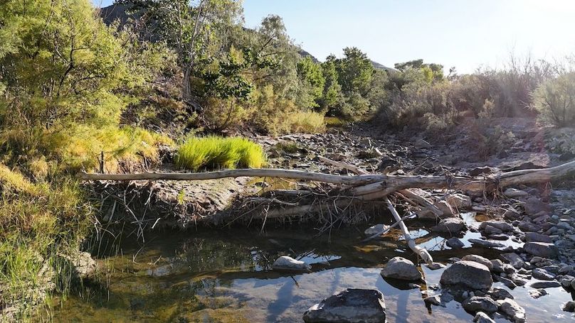 Salina Creek Acreage with Water Rights35
