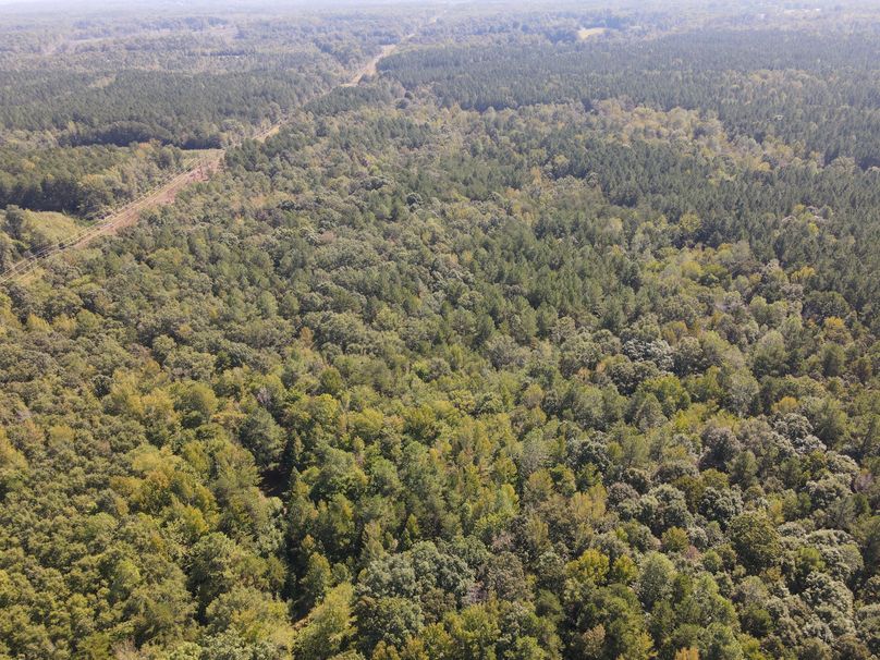 DJI_0084