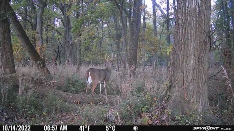 5B9591A3-9DA7-4C71-8053-F2B362521190