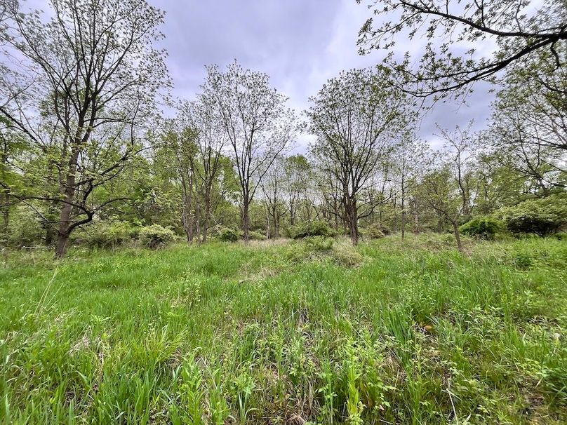 Chemung_3.5_Rouseland Photo 13