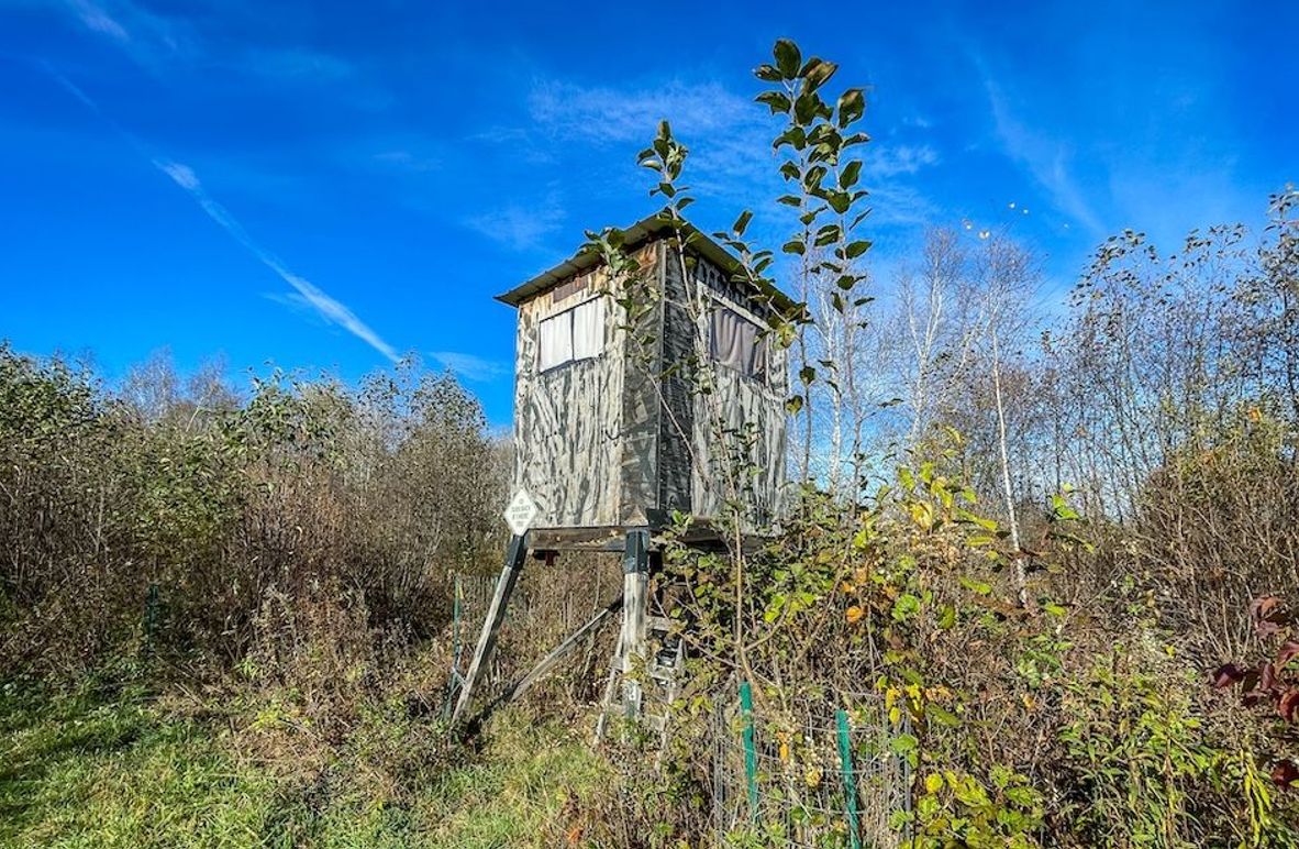 Clark 24.75 Winkel -03