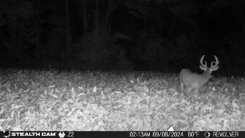 24090802130801000225