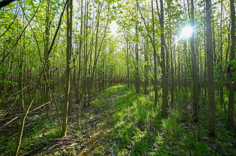 vandalia 450 (2)-3025