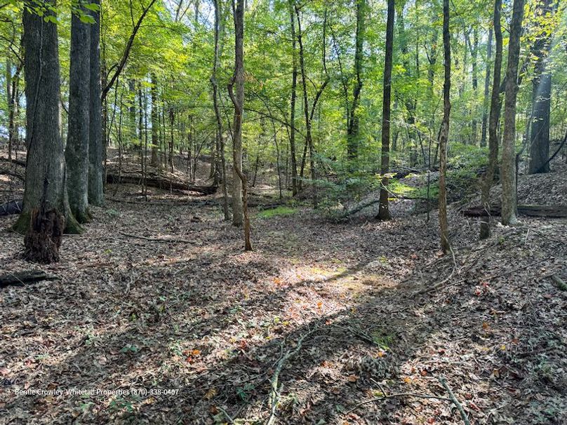 DeSoto 109 Prewett -39