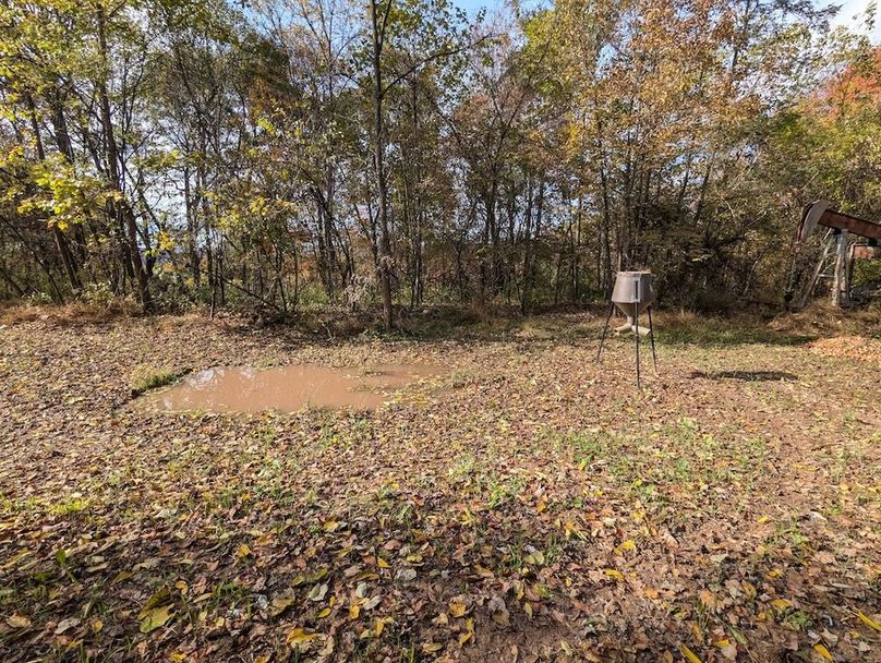 PXL_20251101_181928462