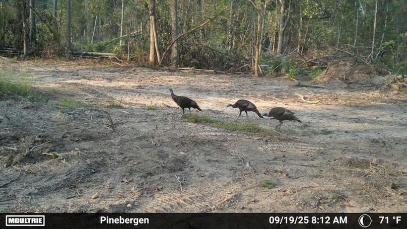 2365951-20250919131252-100MFCAM_MFDC0947