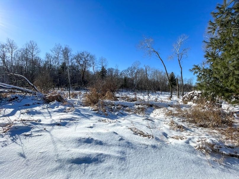 Juneau 105 Cantic -11