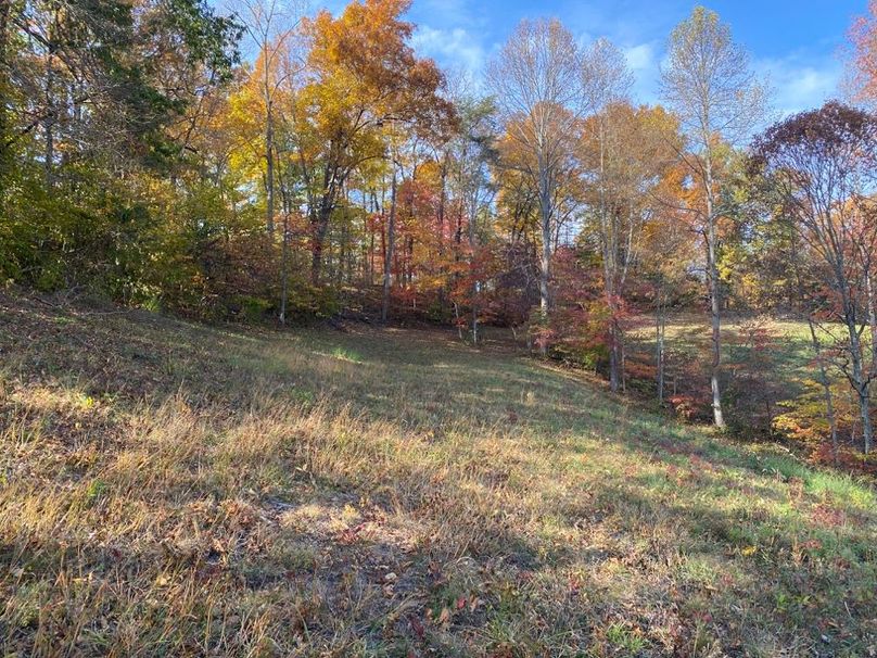 012 the back area of the valley in the northwest portion of the property