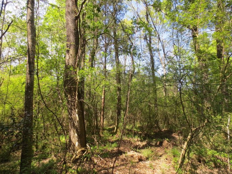 71B8BC20-D10B-4B1F-A84A-FDFB44F8A93C_1_105_c