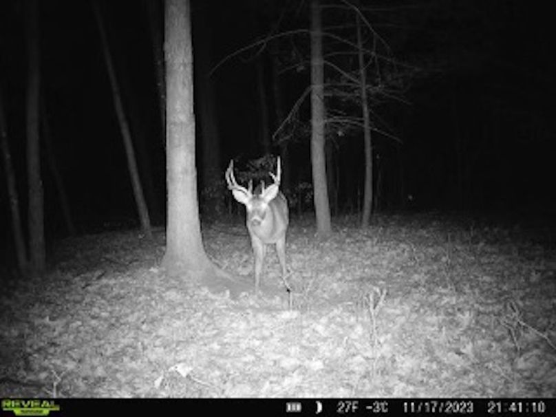 f03e6a57-f6e9-4959-b321-bce7a93a203d