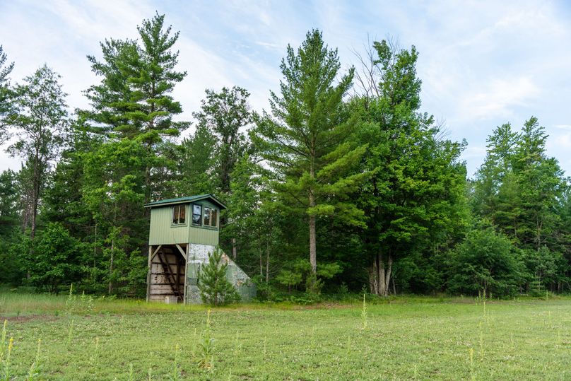 Ogemaw MI 475 Featured Pro Photo-742195