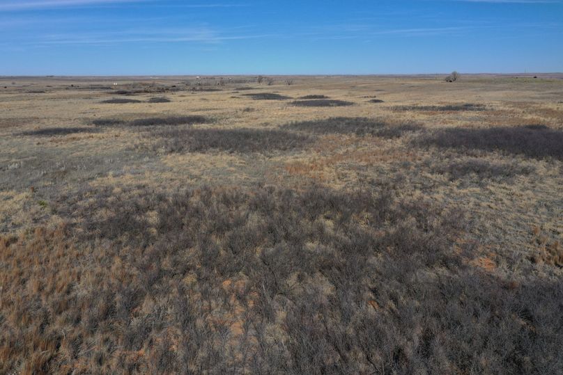 DJI_0075