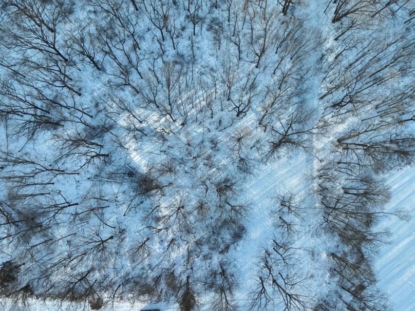 36 Timber SE over parking Looking down