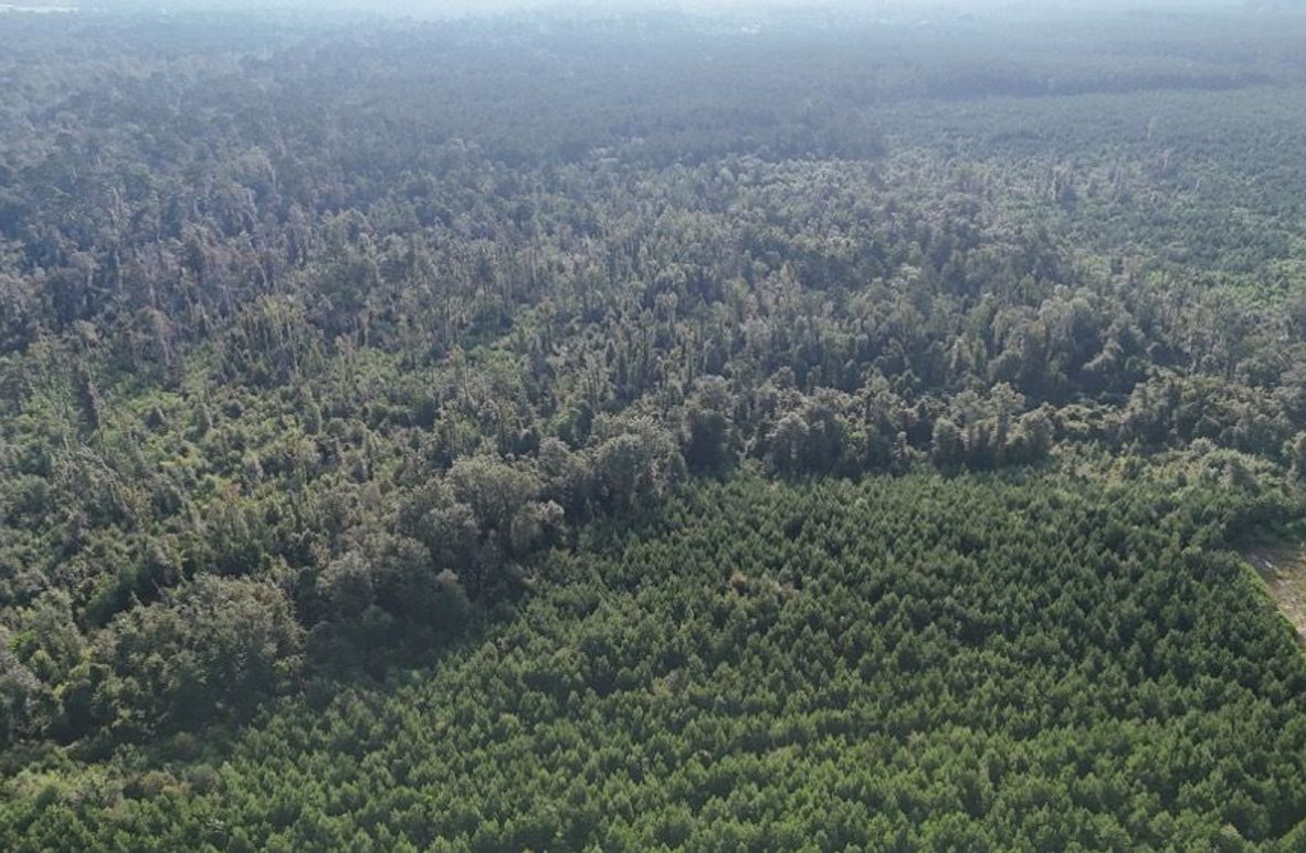 dji_fly_20250903_215830_0018_1756926956791_photo