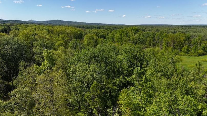 14 DJI_20260531040837_0054_D