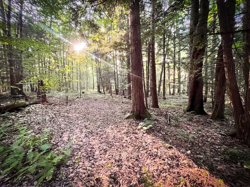 Oswego_25.66_Pettit_Photos_33