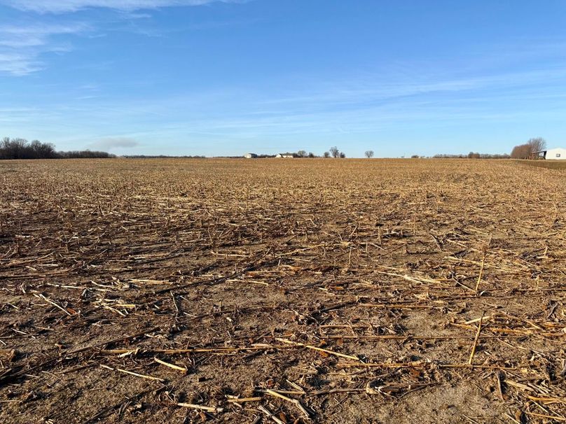 Copy of IMG_7181 Large