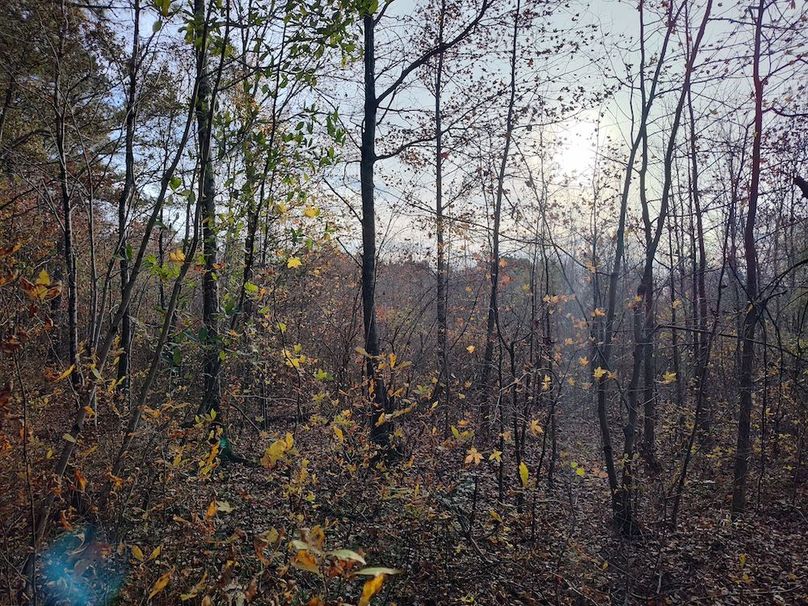 IMG_20251105_153212228_HDR