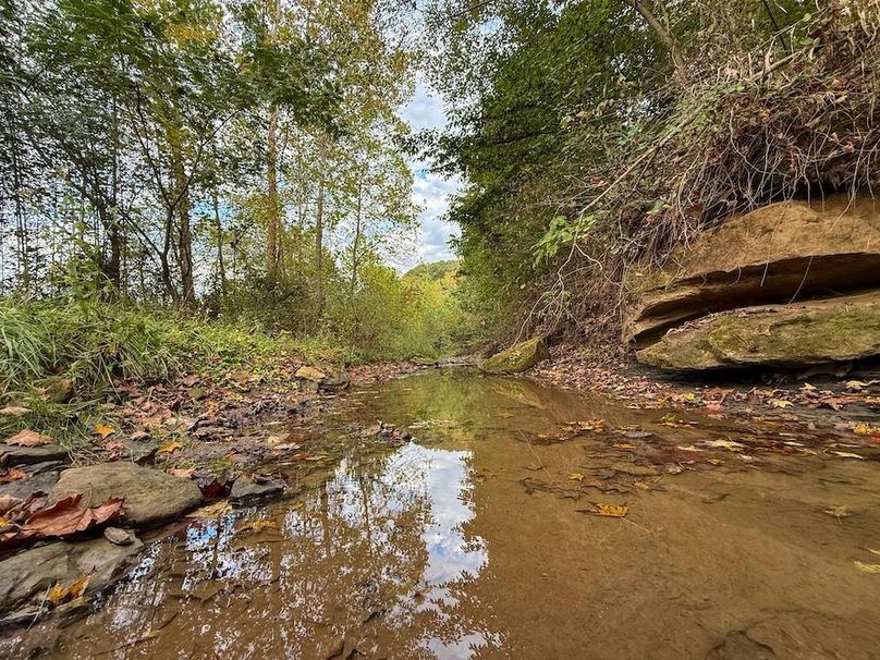 Greenup 77.28 Holsinger-31