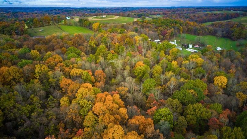 12-zj 31961 Township Rd 381011