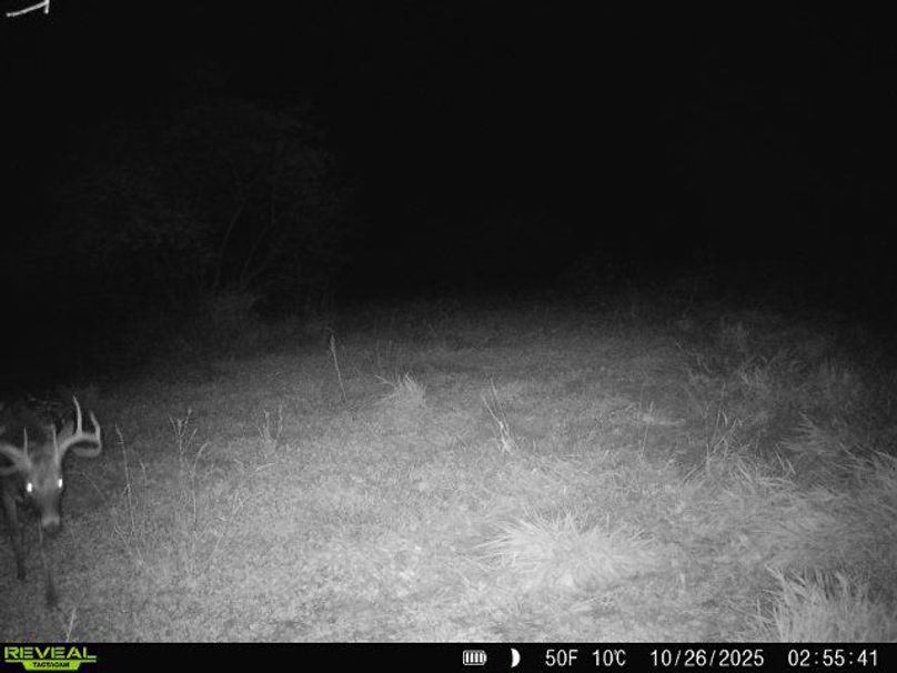 860516064895174-100-4-10262025025540-W1000164