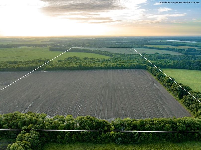 Copy of Noxubee 112.1 +- Tract 1-01