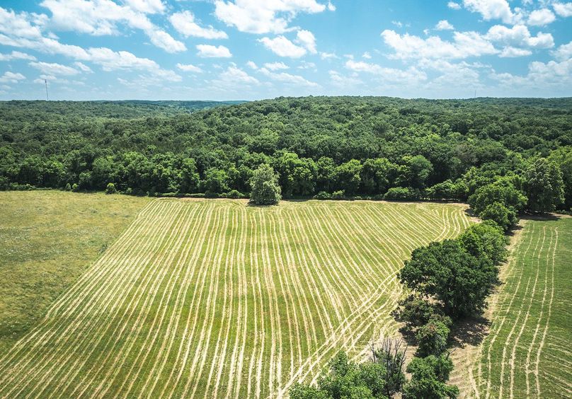 DJI_20250621142027_0687_D