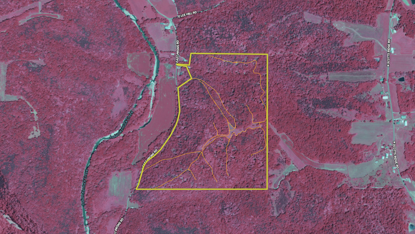 Screenshot 2025-07-15 095344