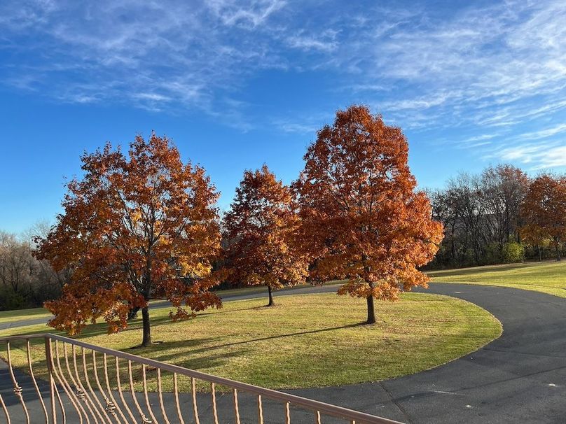 Fillmore 48.25 New Updates-55