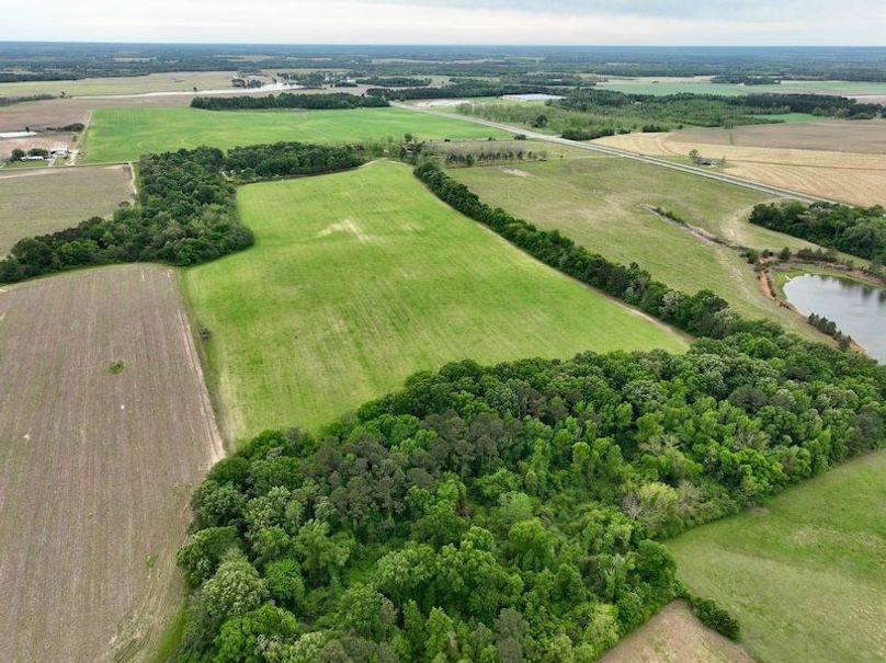 dji_fly_20260406_131830_478_1775496412549_photo