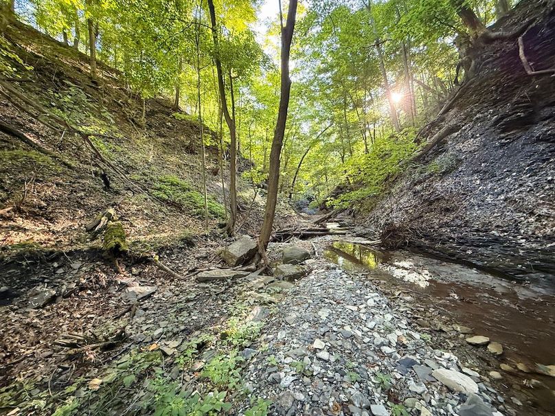 Seneca_65_Engels Photo 41d