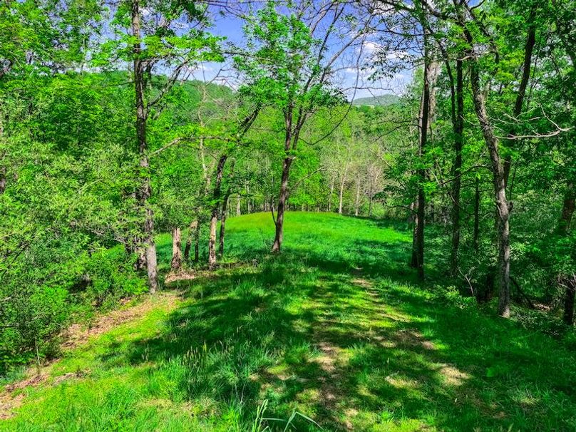 Tyler, WV 161.03 AC Fitzsimmons-100