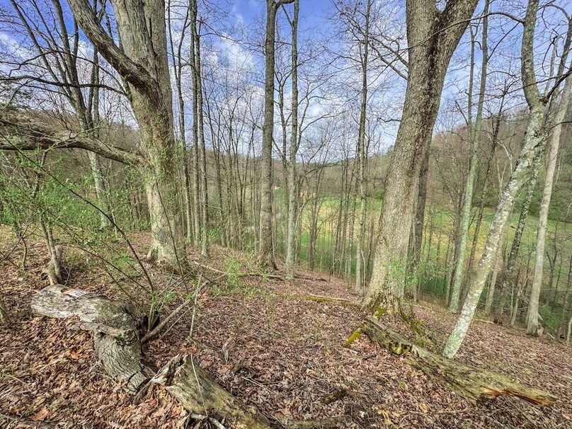 Ritchie, WV 206.08 AC Curriden-68
