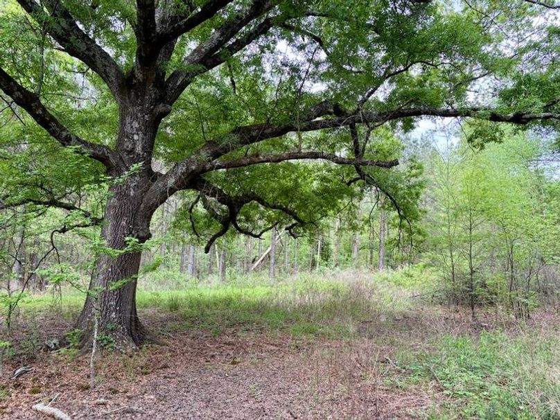 EDEC7C34-153E-4001-B8F4-808A882BCA19_1_105_c