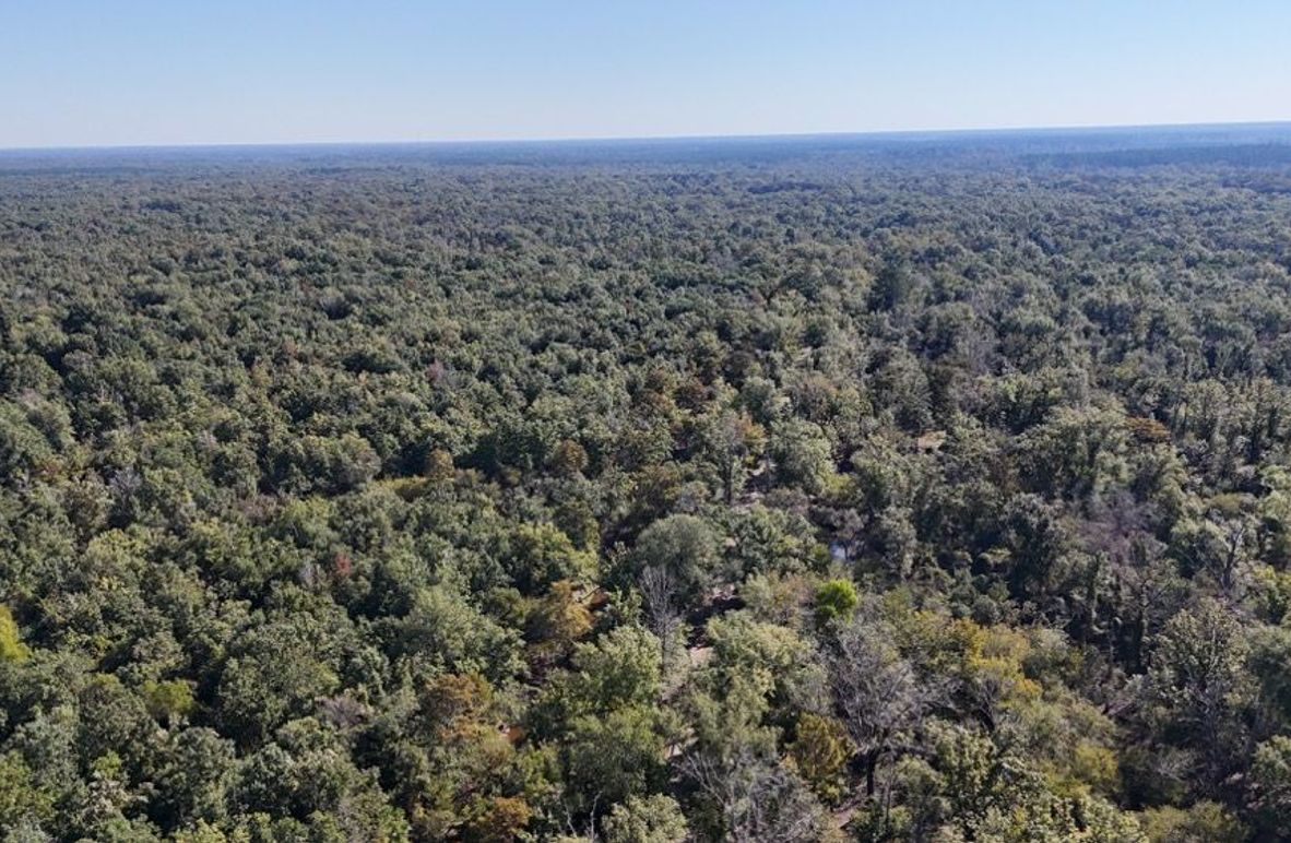 Copy of dji_fly_20251014_234154_0047_1760476898236_photo